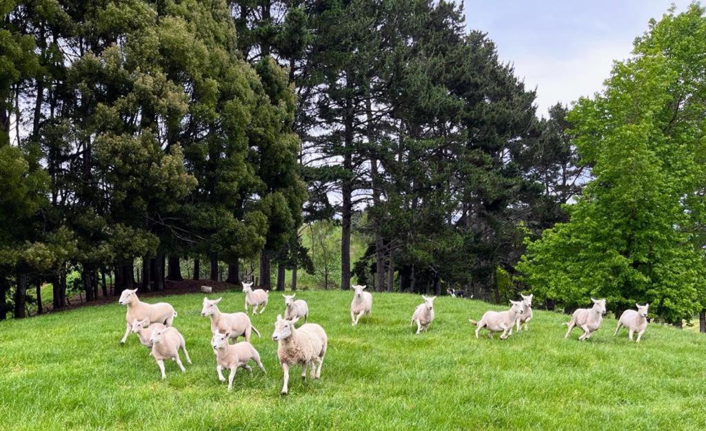Karamu Homestead エクステリア 写真